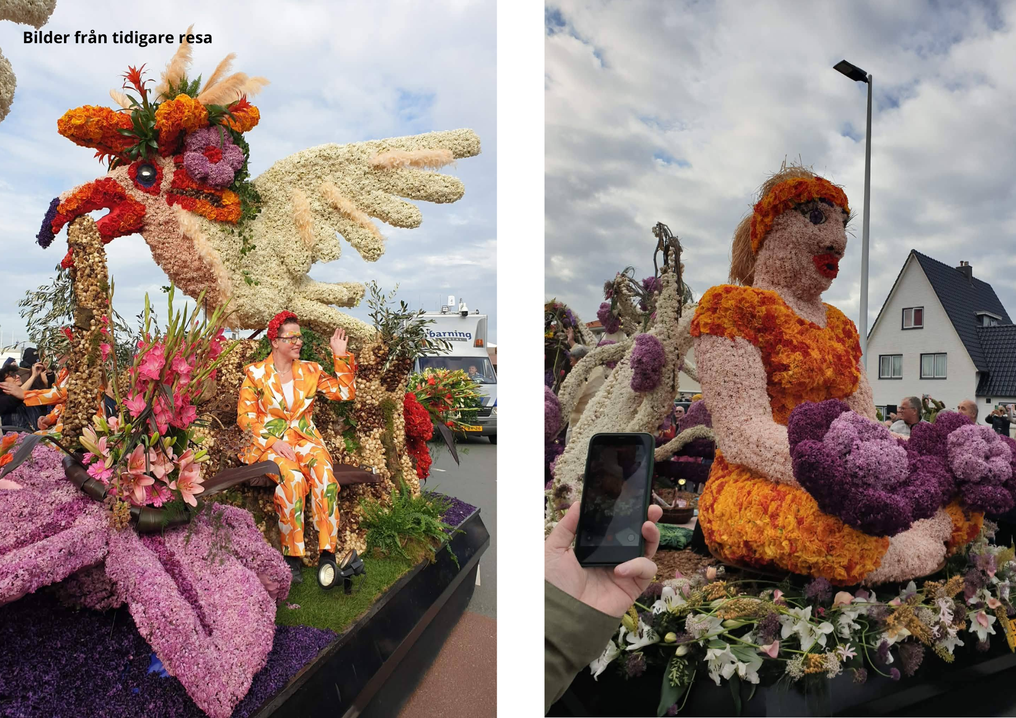BLOMSTERPARAD OCH DEN HAAG