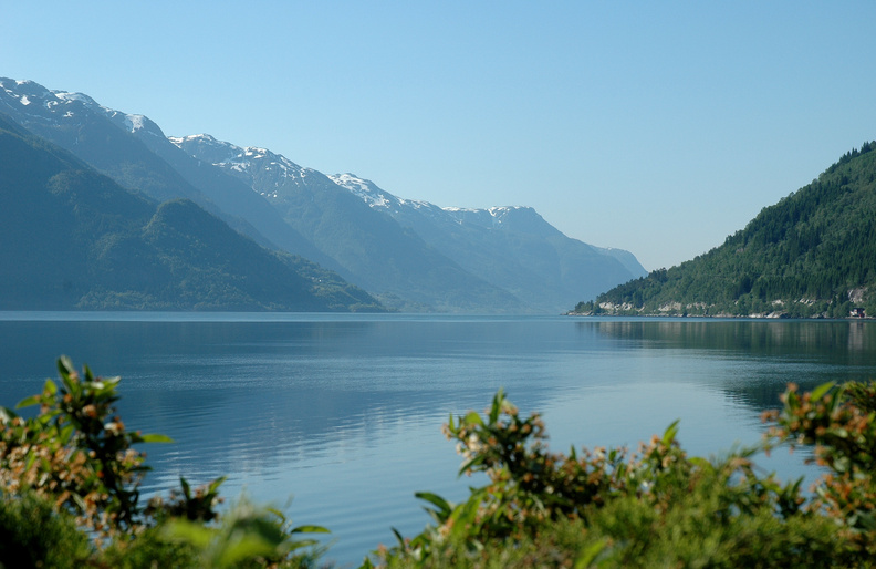 HARDANGERFJORDENS PPELODLINGAR OCH FORSARNAS DAL